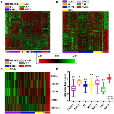 Identification of a Splenic Marginal Zone Lymphoma Signature: Preliminary Findings With Diagnostic Potential